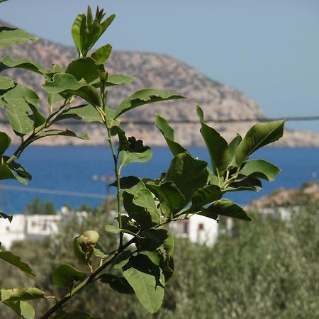 أموبي Vardes Hotel Studios المظهر الخارجي الصورة